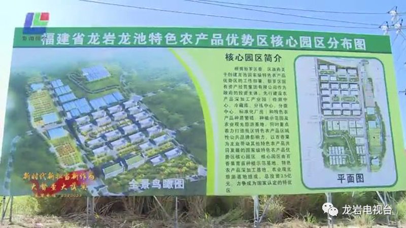 龙岩煤炭贸易:推动地方经济的绿色动力
